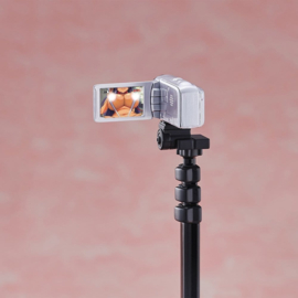 (Pre-order) Original Action Body PVC Figure Chizuru Shiina Tanned Skin Deluxe ver. 29 cm