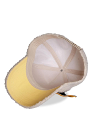 (Pre-order) PokÃ©mon Baseball Eevee