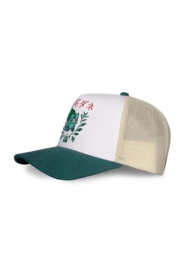 PokÃ©mon Trucker Cap Bulbasaur