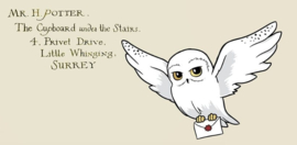 (Pre-order) Harry Potter Premium Mug Hedwig 444 ml