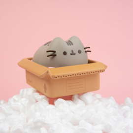 (Pre-order) Pusheen Piggy Bank