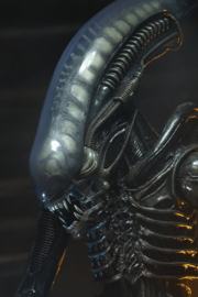 (Pre-order) Alien 1/4 Action Figure Big Chap 56 cm