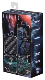 (Pre-order) Aliens Ultimate Action Figure Warrior (1986) Blue 23 cm