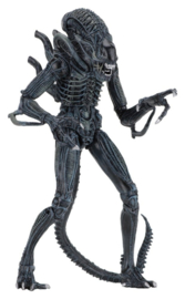 (Pre-order) Aliens Ultimate Action Figure Warrior (1986) Blue 23 cm