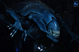(Pre-order) Aliens Ultra Deluxe Action Figure Alien Queen (40th Anniversary) 38 cm
