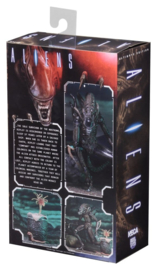 (Pre-order) Aliens Ultimate Action Figure Warrior (1986) Brown 23 cm