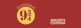 (Pre-order) Harry Potter Premium Mug Platform 9 3/4 444 ml