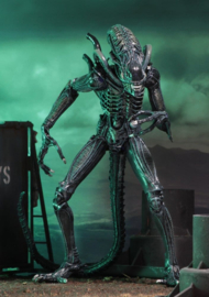 (Pre-order) Aliens Ultimate Action Figure Warrior (1986) Blue 23 cm