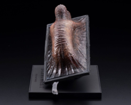 (Pre-order) Silent Hill 2 Oshi Works Statue Abstract Daddy 15 cm         