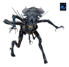 (Pre-order) Aliens Ultra Deluxe Action Figure Alien Queen (40th Anniversary) 38 cm