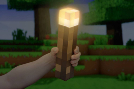 (Pre-order) Minecraft Torch Light