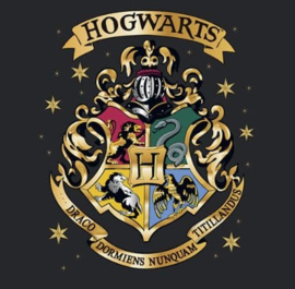 (Pre-order) Harry Potter Premium Mug Hogwarts 444 ml