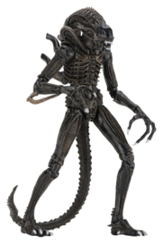 (Pre-order) Aliens Ultimate Action Figure Warrior (1986) Brown 23 cm