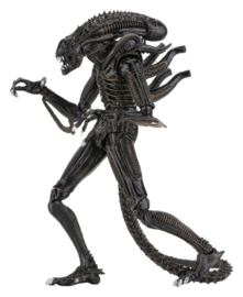 (Pre-order) Aliens Ultimate Action Figure Warrior (1986) Brown 23 cm