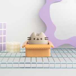 (Pre-order) Pusheen Piggy Bank