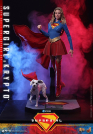 (Pre-order) DC Comics Movie Masterpiece Action Figure Set Supergirl & Krypto 28 cm