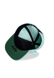 (Pre-order) PokÃ©mon Plush Snapback Cap Bulbasaur 