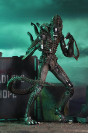 (Pre-order) Aliens Ultimate Action Figure Warrior (1986) Brown 23 cm