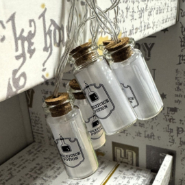 (Pre-order) Harry Potter String Lights 