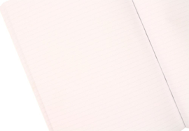 (Pre-order) Back to the Future Premium Notebook Sports Almanac