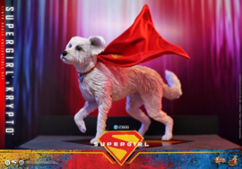 (Pre-order) DC Comics Movie Masterpiece Action Figure Set Supergirl & Krypto 28 cm