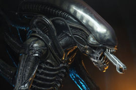 (Pre-order) Alien 1/4 Action Figure Big Chap 56 cm