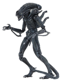 (Pre-order) Aliens Ultimate Action Figure Warrior (1986) Blue 23 cm