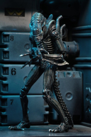 (Pre-order) Aliens Ultimate Action Figure Warrior (1986) Blue 23 cm