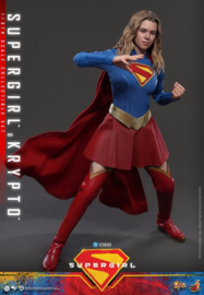 (Pre-order) DC Comics Movie Masterpiece Action Figure Set Supergirl & Krypto 28 cm
