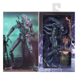 (Pre-order) Aliens Ultimate Action Figure Warrior (1986) Blue 23 cm