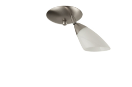 Combinatie 1-L plafondspot mat nikkel met glazen kap Schepje 7cm opaal nr 7Sp1-230.00