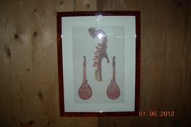 Prent met instrument