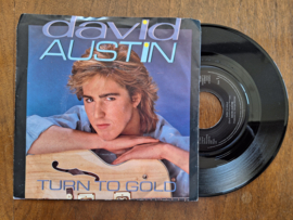David Austin met Turn to gold 1984 Single nr S20232700