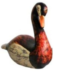 Zwaan zwemmend groot