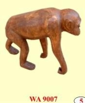 Chimpansee hardhout