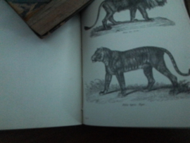 `The National encyclopedia. volume III. a dictionary of  Universe Knowledge by writers of eminence in literature and art. William Mackenzie.