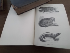 `The National encyclopedia. volume III. a dictionary of  Universe Knowledge by writers of eminence in literature and art. William Mackenzie.