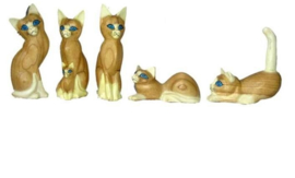 Poezen witte oren set van 5