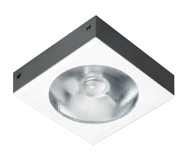 Buitenspot opbouw plafond antraciet LED 10W 5jr garantie nr 321221