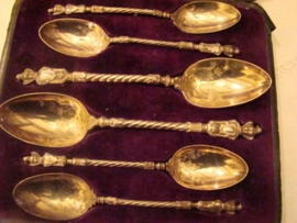 Etui met zes silverplate  serveerlepels