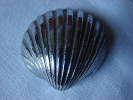 Snuif of pillendoosje in de vorm van een schelp. VERKOCHT.
