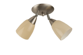 Combinatie 2-L plafondspot mat nikkel met glazen kap 0 champagne nr 7Sp2-0.50