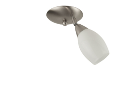 Combinatie 1-L plafondspot mat nikkel met glazen kap kelkje 8,6cm opaal nr 7Sp1-950.00