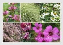 Borderpakket  `Agatha,` volle zon
