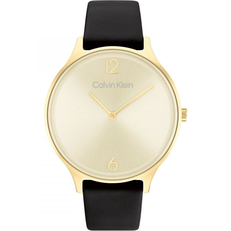 Calvin Klein Timeless 25200008 horloge 38mm