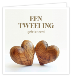 Een tweeling gefeliciteerd