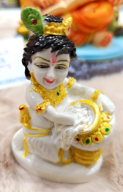 Krishna 5
