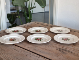 Wedgwood Moss Rose set 6x gebaksbordje 16 cm