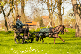 Fahrdecke honeycomb samt dunkel grün